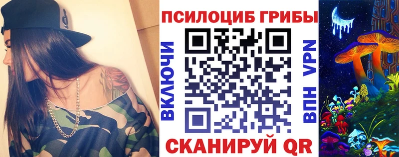 где можно купить   Славск  Псилоцибиновые грибы GOLDEN TEACHER 