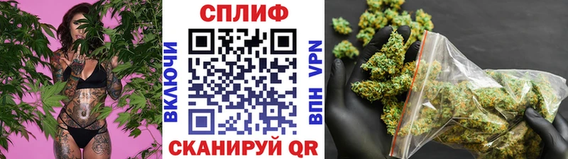 Канабис конопля  Славск 